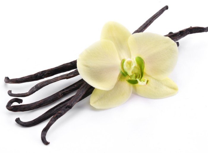 Eterično ulje vanilije opušta i pročišćuje organizam